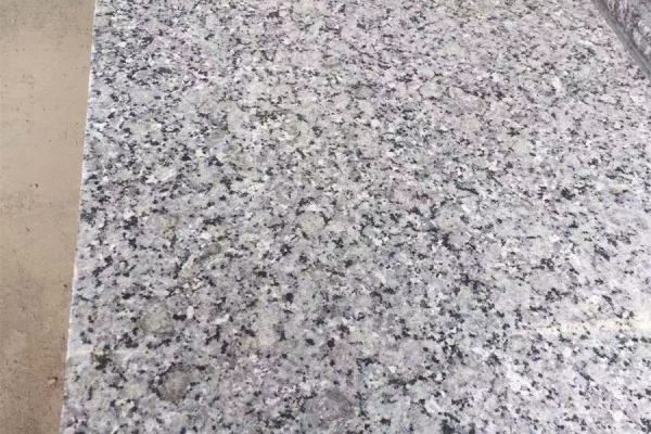 廣西新珍珠蘭光面